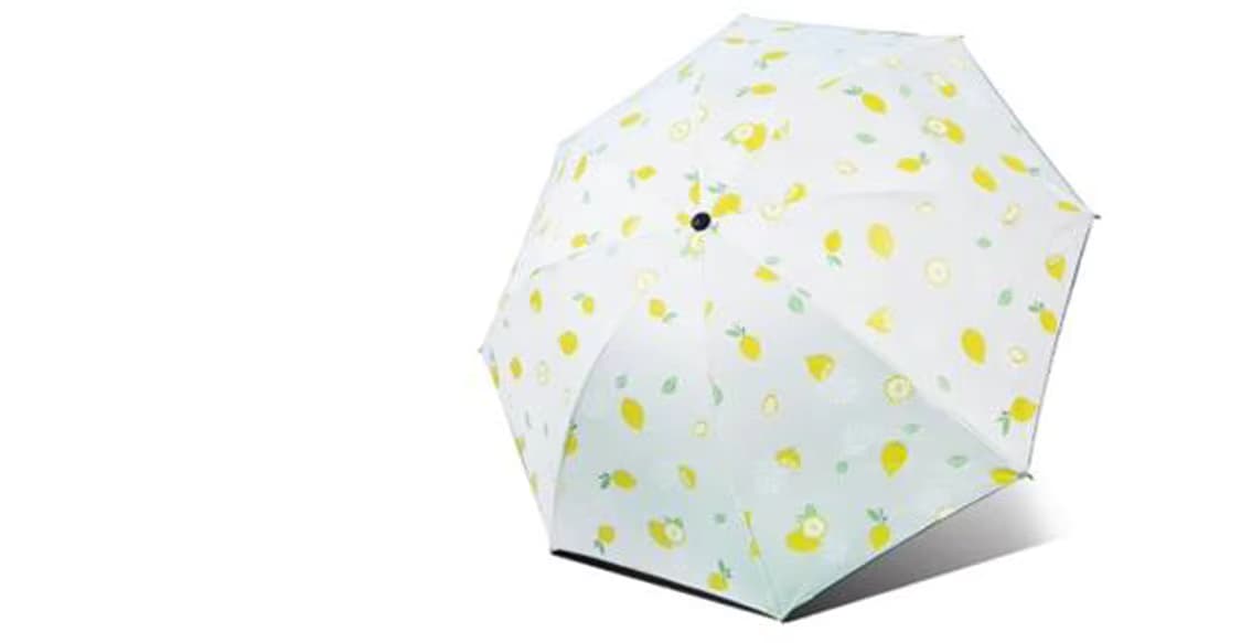 Portable Sunny Umbrella