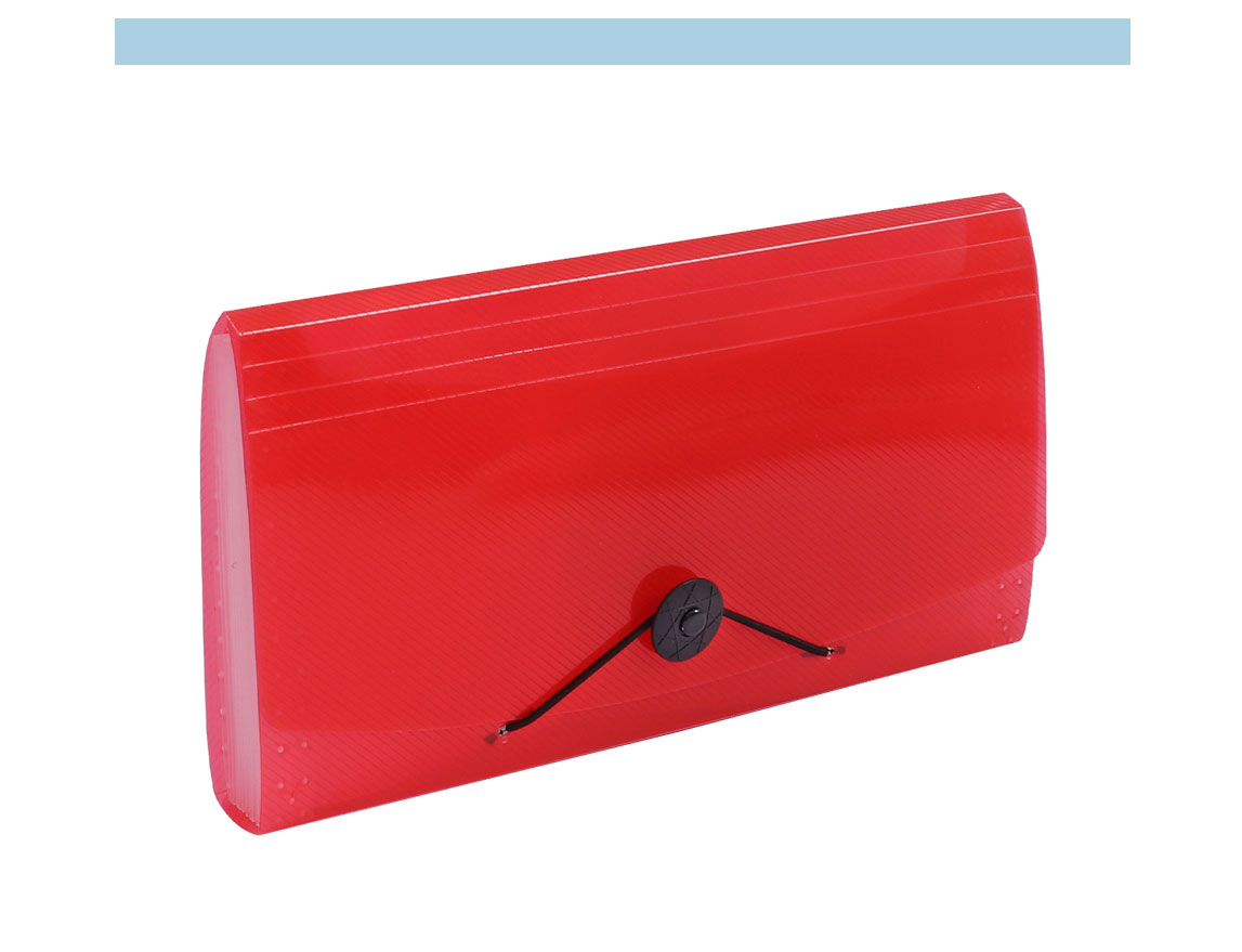 Cheque Expanding File Bag