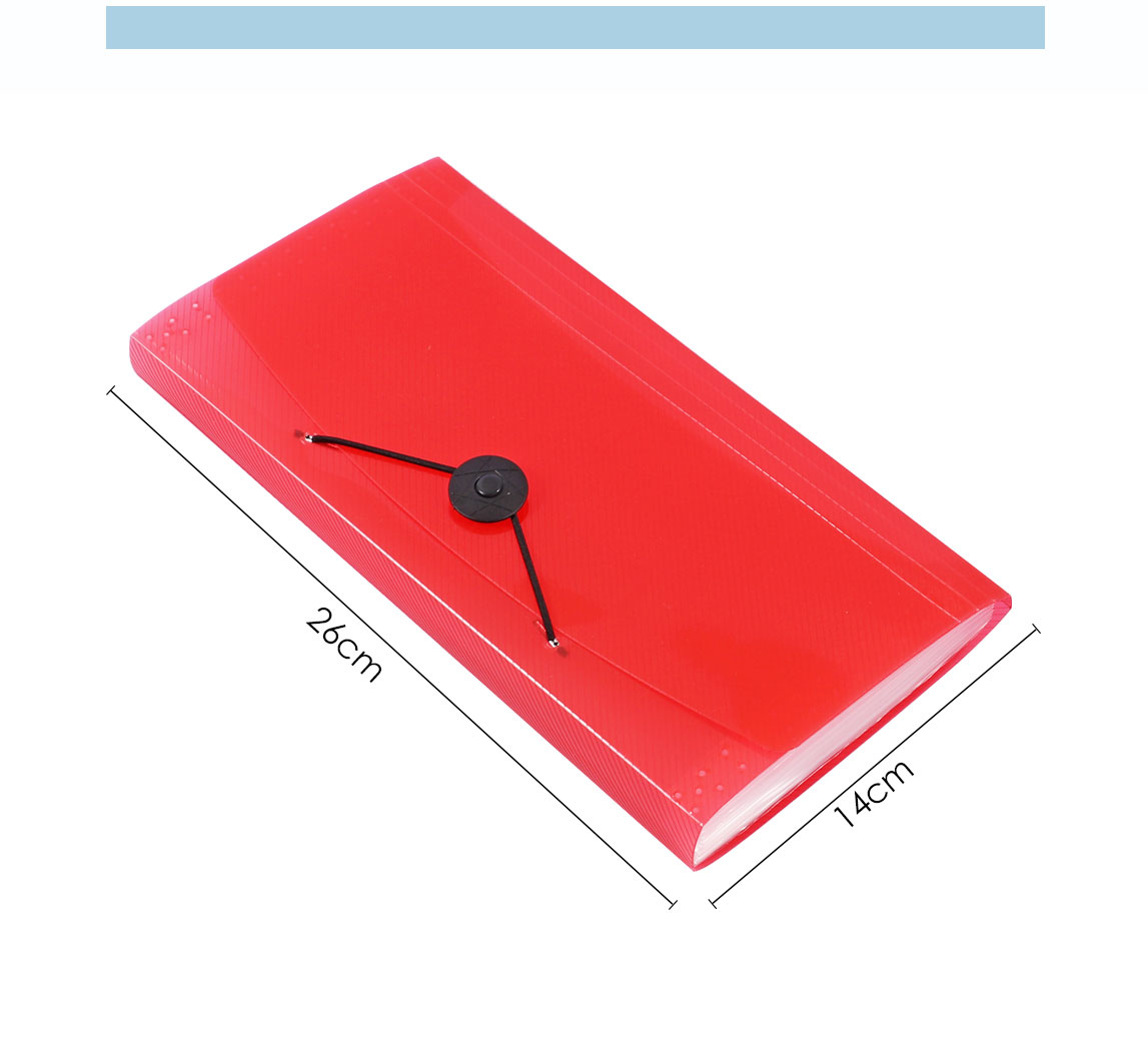 Transparent Expanding File Bag