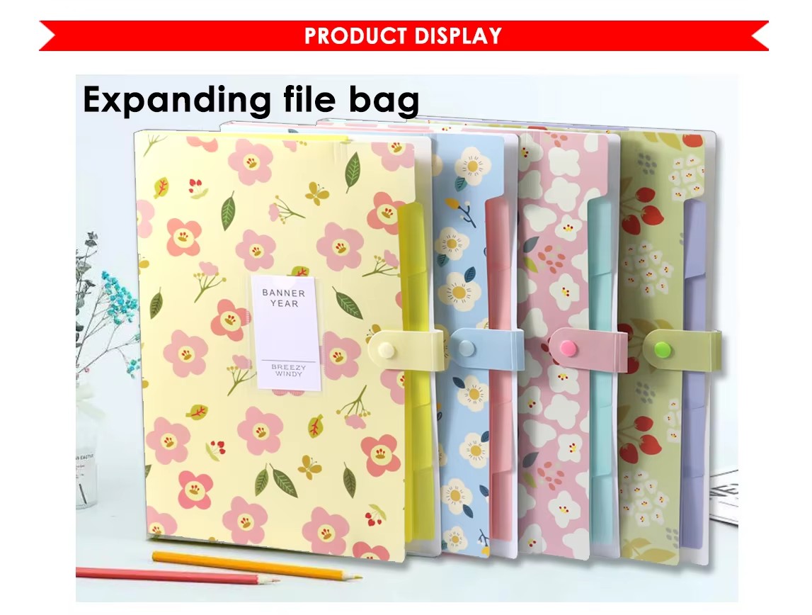 Accordion File Folder