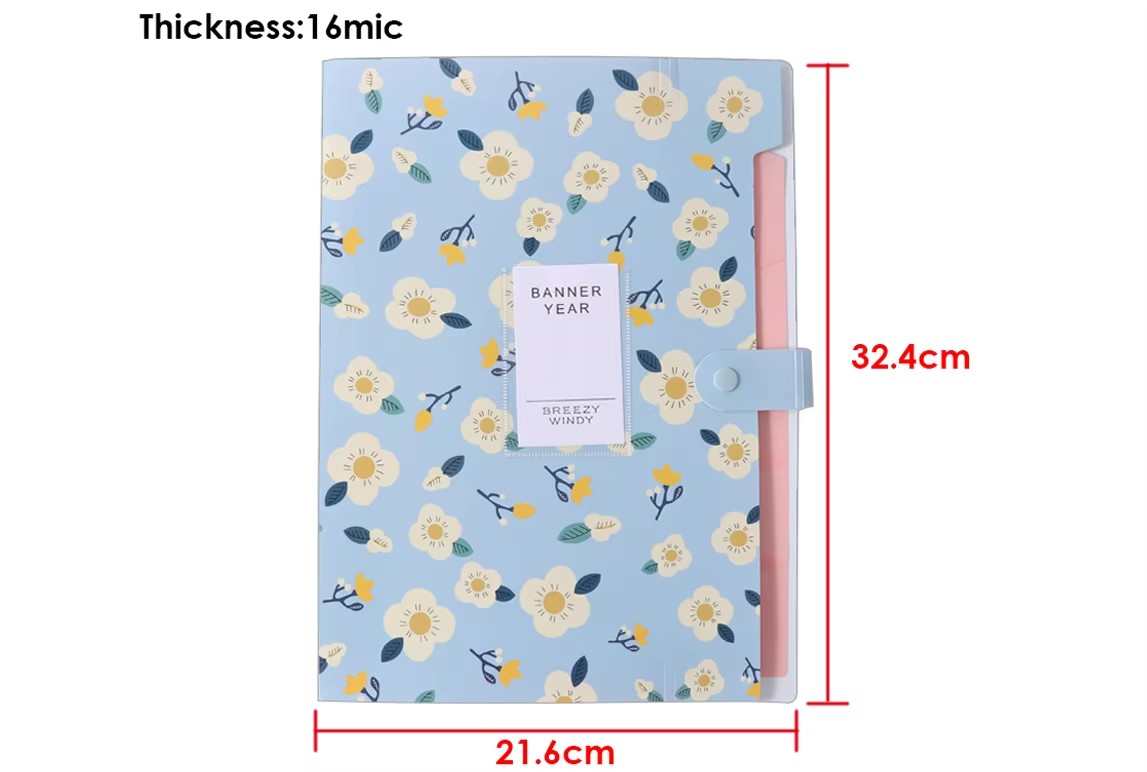 Folder With 6 Pockets