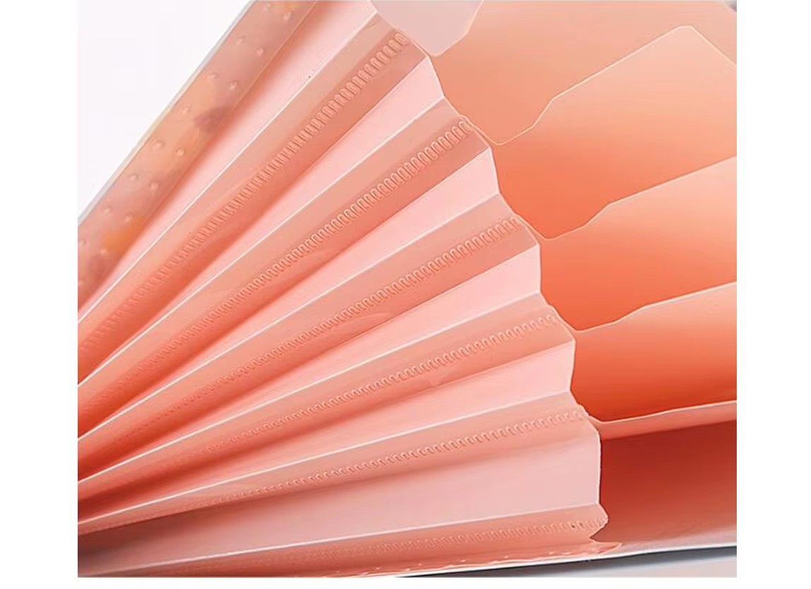 Accordion Expanding File Folder