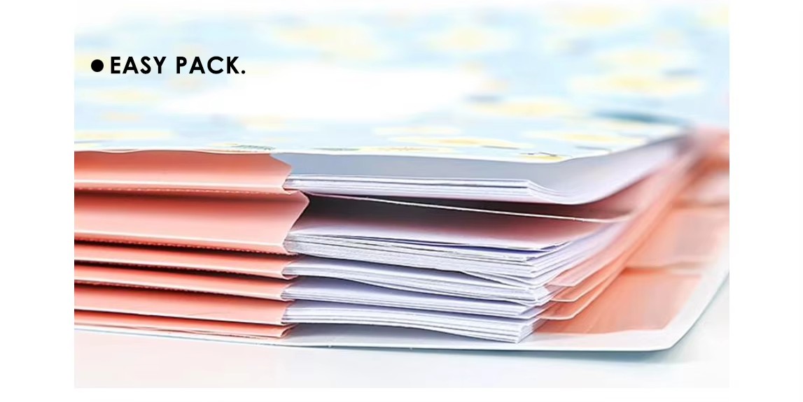 Plastic Expanding File Folder