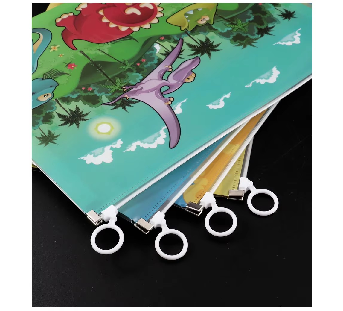 Document Organizer Bag