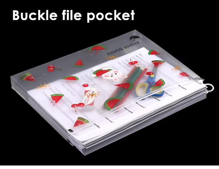 Plastic File Folder