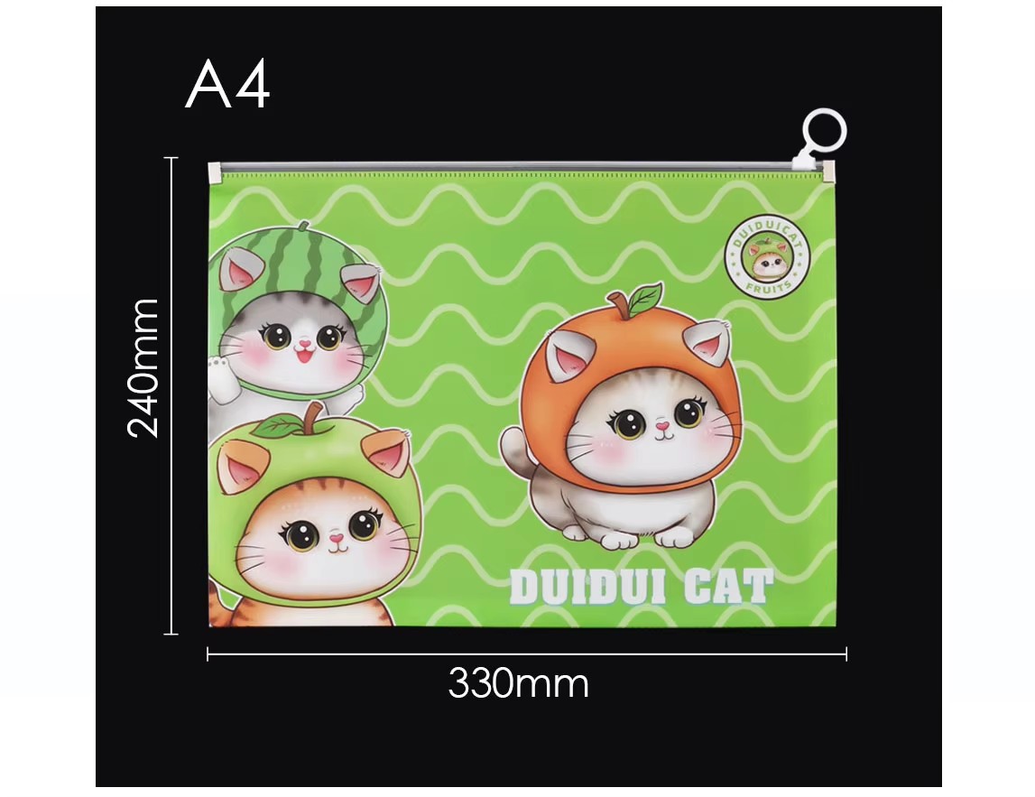 Transparent PVC folder