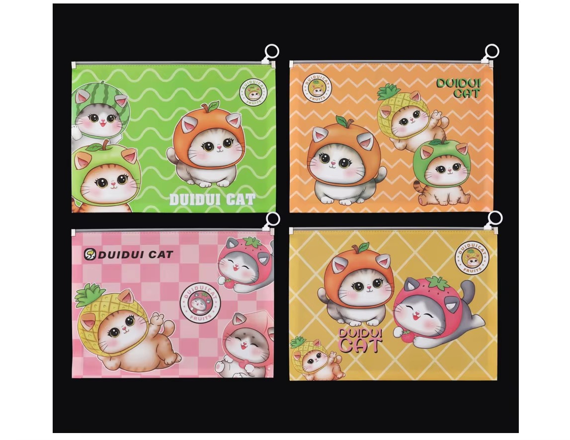 Zipper file bag