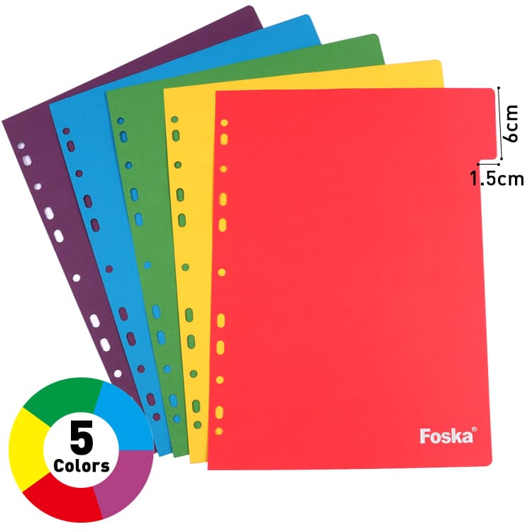 5 colors paper file index