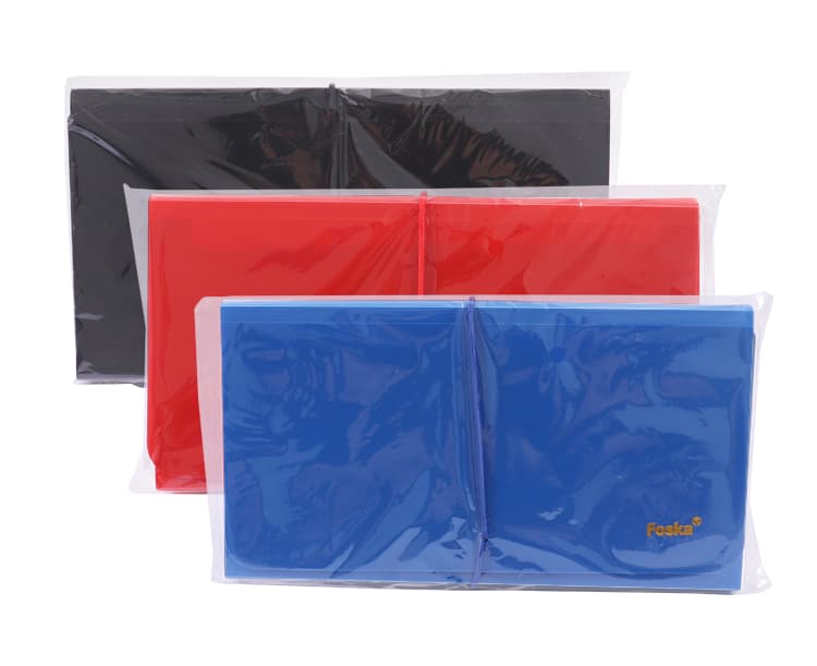 Storage Expanding File Bag