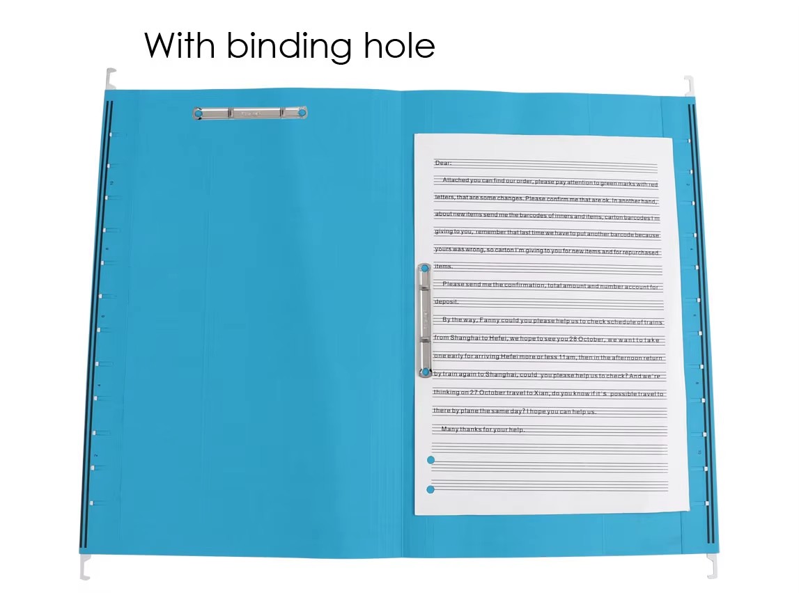 File Hanging Folders