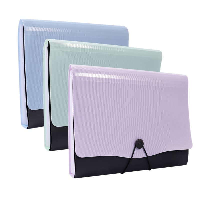 Expanding File Bag