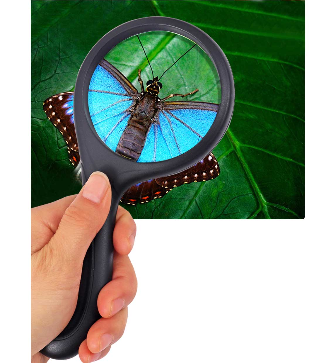 3 times magnifier