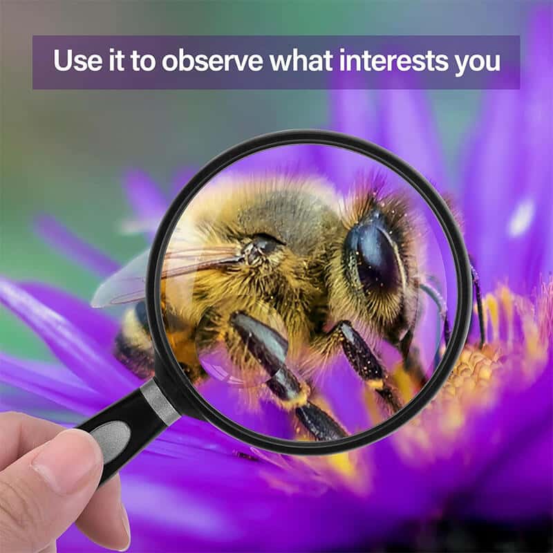 Magnifying Glass for Kids