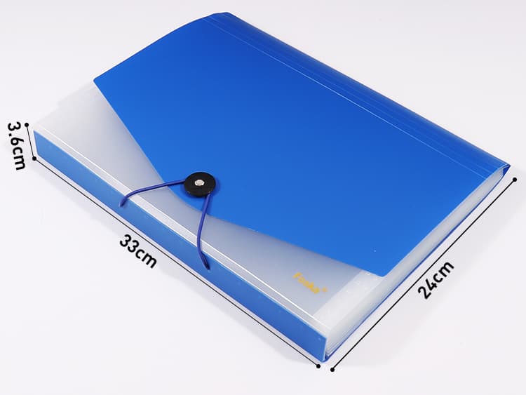 plastic Expanding File Bag