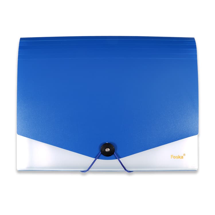 Expanding File Folders for School