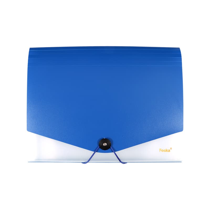 Expanding File Folder Bag