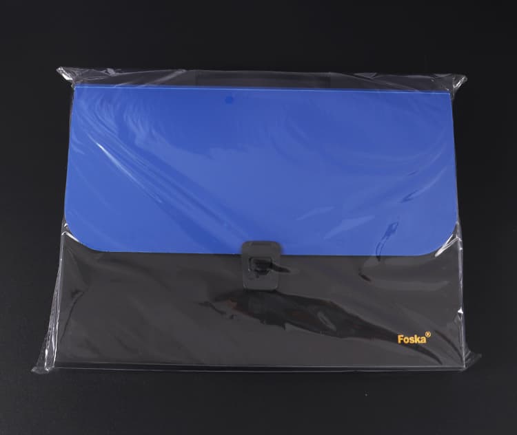 Expanding File Bag with Handle