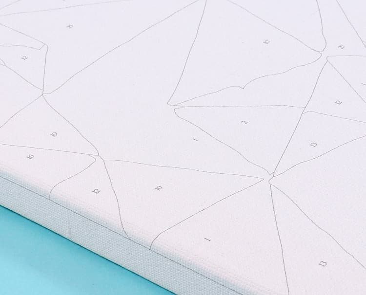 Paint by Numbers Kit for Kids