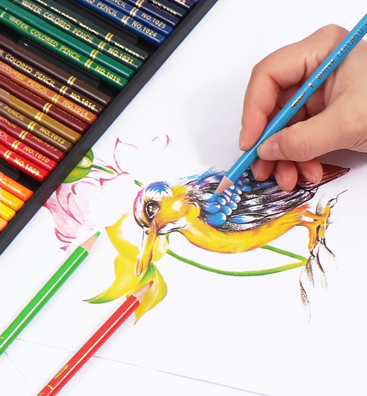 Bright Water Color Pencil