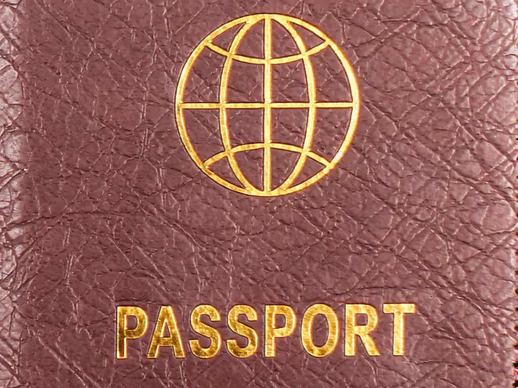 Classic Simple Design Passport holder